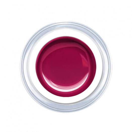 C366 Plum – UV/LED Color Gel